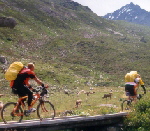 bike.jpg (19KByte)