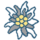 edweiss.gif (2KByte)