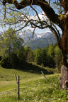 Idyllischer Ausblick.