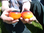 Manfreds's WM-Gaggerl.