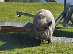 Sie kann tun und lassen was sie will