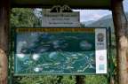 die Route